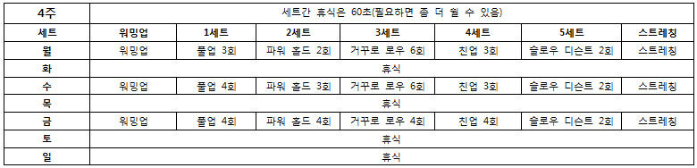 턱걸이 초보도 50개 올리는 프로그램 | 인스티즈