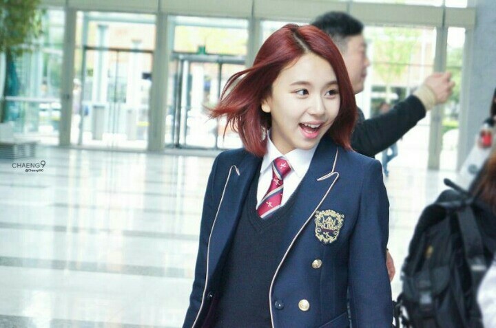 [트와이스] 라인정리 아홉번째 -급식단- | 인스티즈