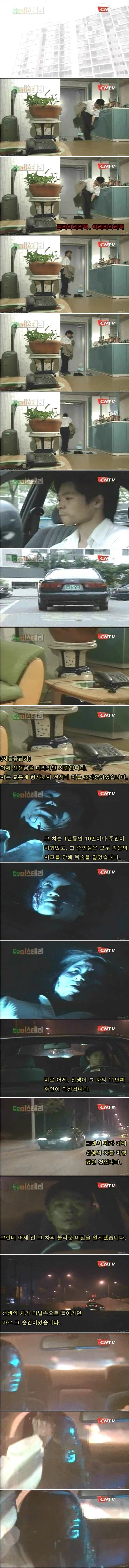 토요미스테리 레전드 | 인스티즈