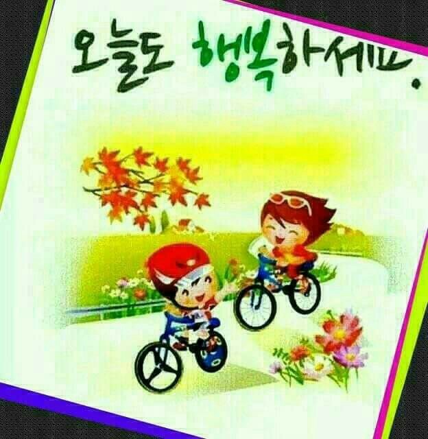요기내 이미지