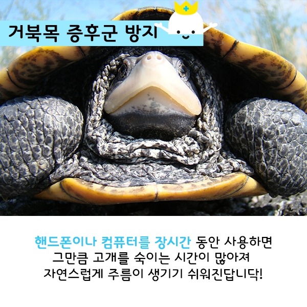 얼굴 나이는 이걸로 결정된다는 걸 왜 아무도 몰라주지 | 인스티즈