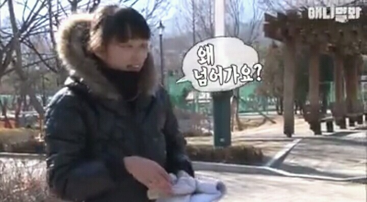 여자보면 쓰러지는 개 이야기 | 인스티즈