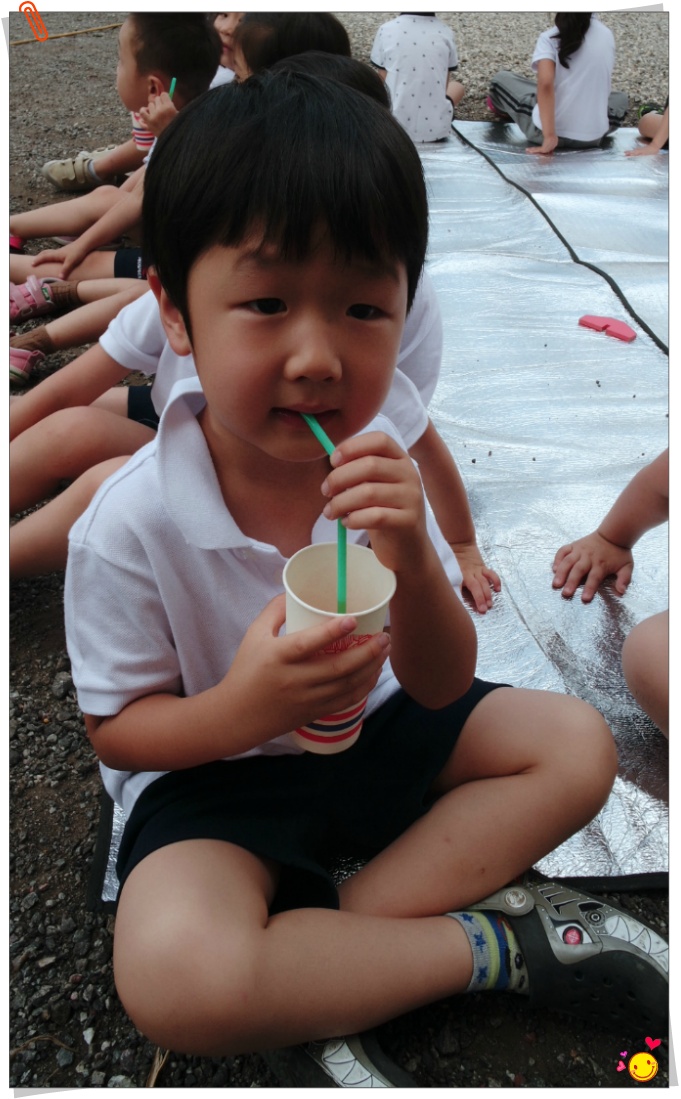 4D무비카 이미지