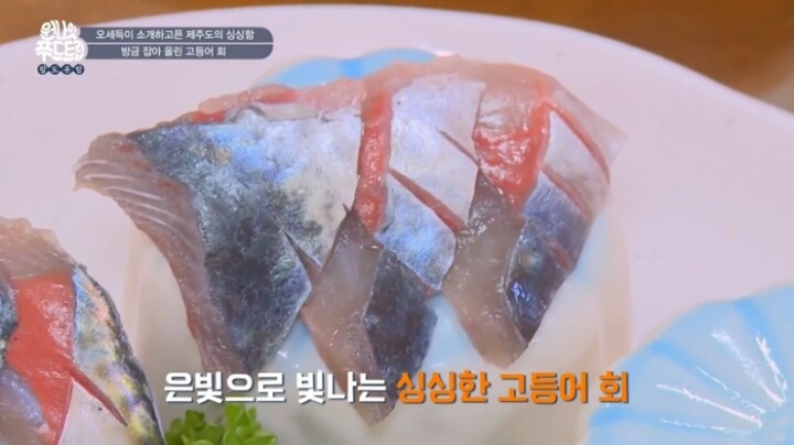 제주도 고등어회.jpg | 인스티즈