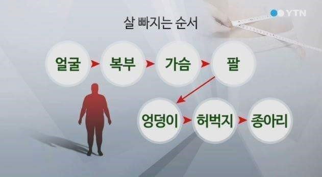 다이어트 할 때 살 빠지는 순서 | 인스티즈