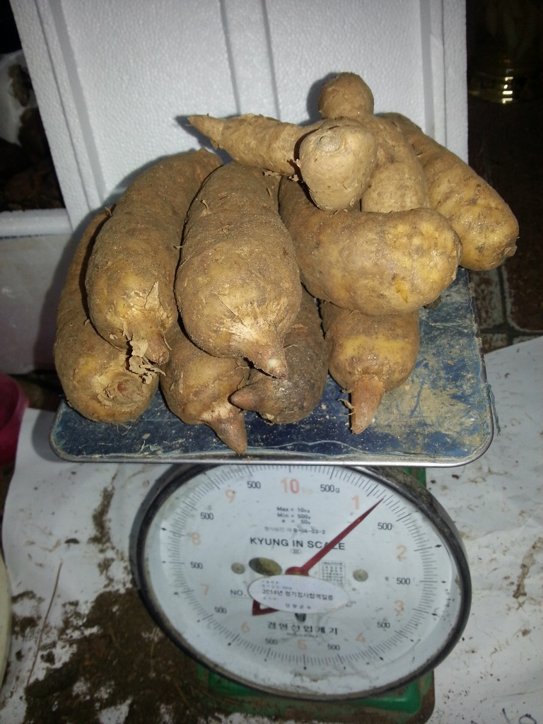 천마통신 이미지