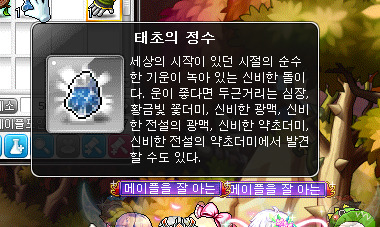 태정 이미지