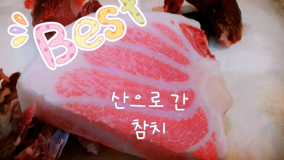산으로간참치 이미지