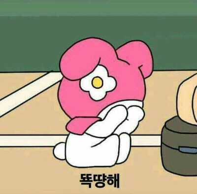 다신 이미지