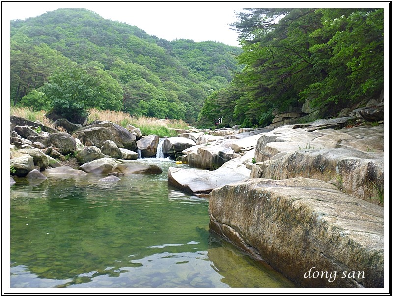 단양중학교 이미지