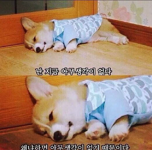 공감 이미지