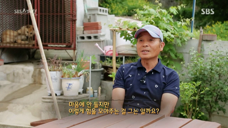 [SBS스페셜] 현지 외할아버지의 표 이동.JPG | 인스티즈