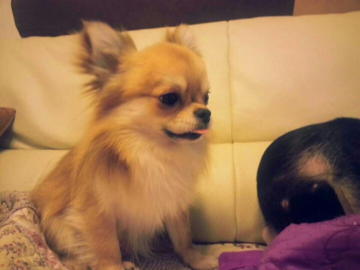 야야 이미지