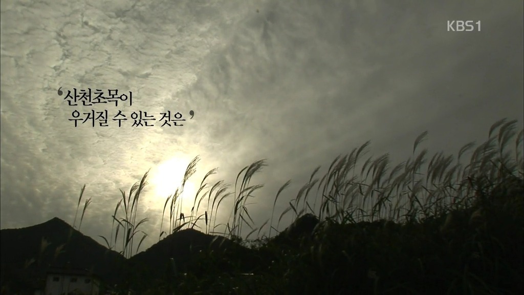 역사적으로 나라를 위해 싸우는게 미친짓인 이유 | 인스티즈