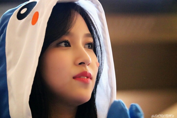월요일 아침엔 트와이스(50장) | 인스티즈