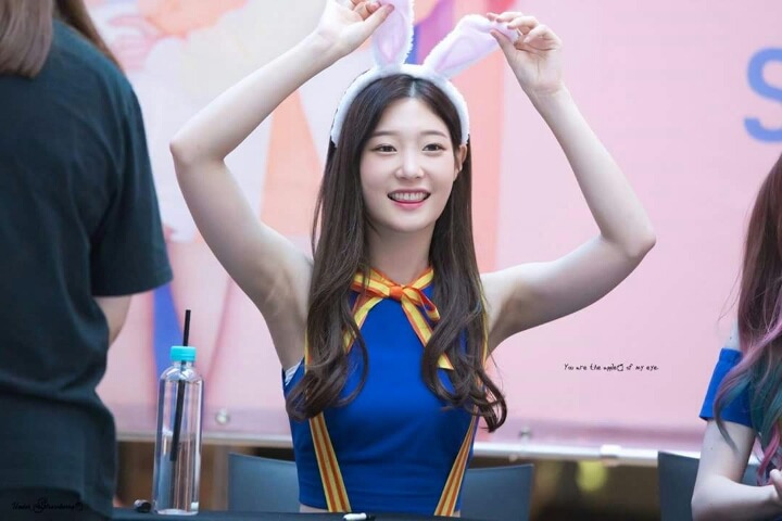 토끼 채연이 | 인스티즈