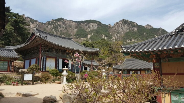 대한通불교조계종 이미지