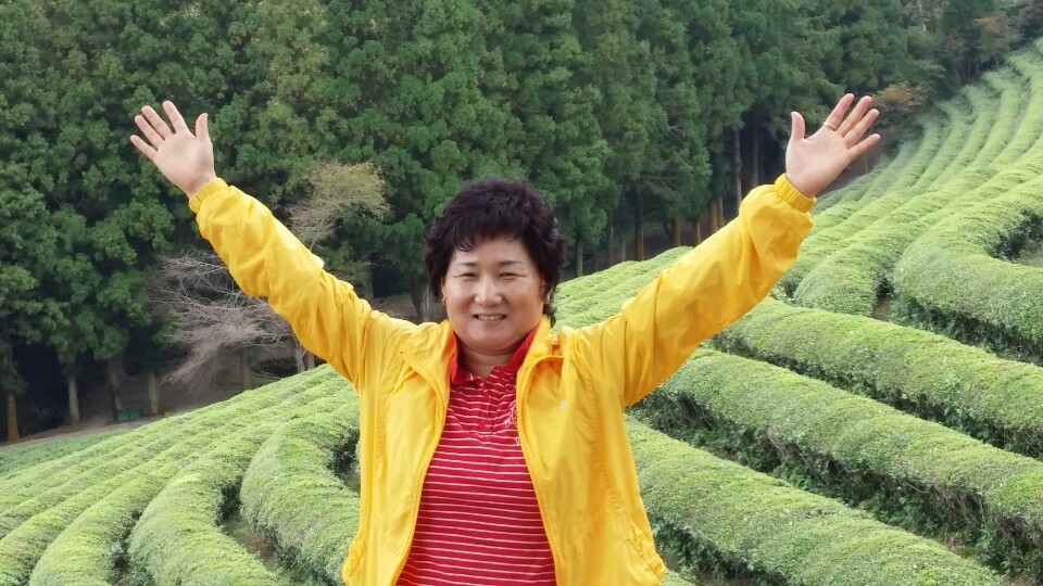 보성광고 이미지
