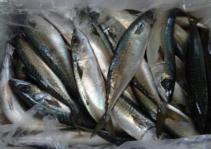 삼성수산식당 이미지