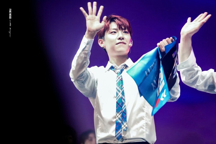 이니스 이미지