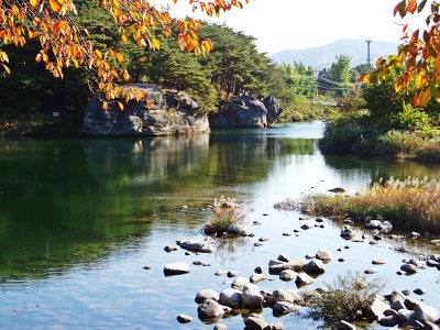 사랑7080라이브 이미지