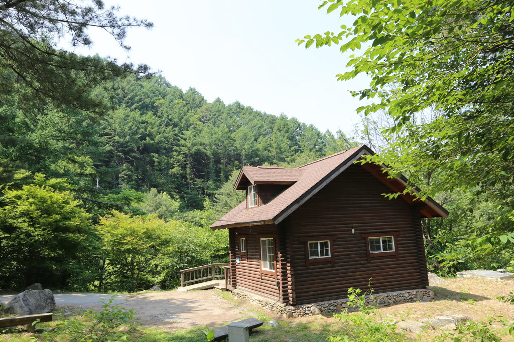 유명산자연휴양림 이미지