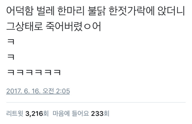 불닭의 살충적인 매운맛.twt (텍스트 벌레 주의) | 인스티즈