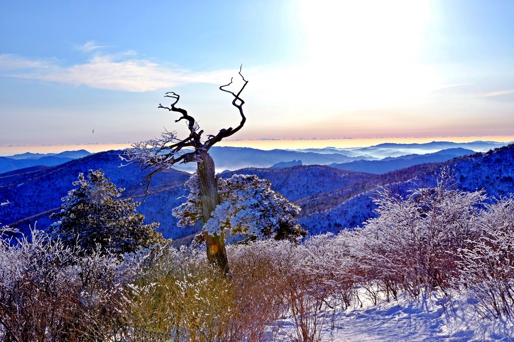 설화 이미지