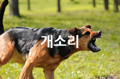악법도 법이다? | 인스티즈