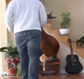 공포의 복수극.gif | 인스티즈
