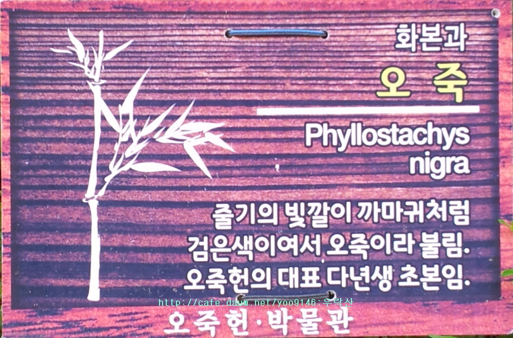 문성사 이미지