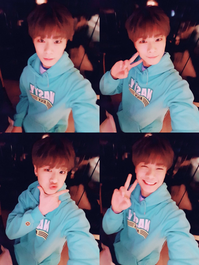 달콩 이미지