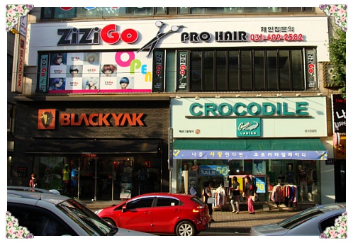지지고 이미지