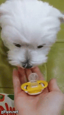 자꾸 눈이 가네 하얀 그 얼굴에.jpgif | 인스티즈