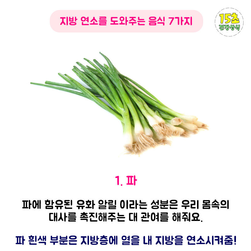 지방 연소에 도움이 되는 음식 | 인스티즈