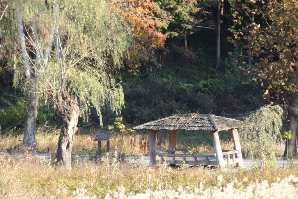 전주 오송제 호수에 비추인 동화 속 가을 풍경 사진을 전체 확대한 모습 감상 | 인스티즈