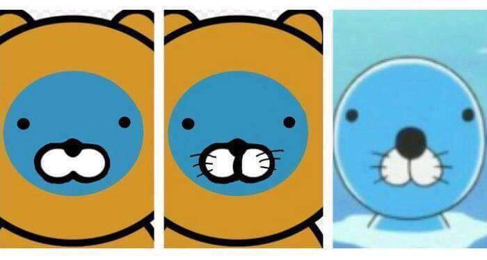 라이언 실체 | 인스티즈
