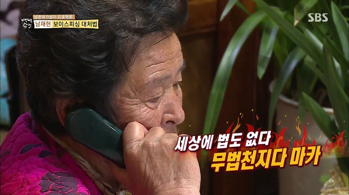 젊은층은 잘 모르는 SBS 꿀잼 예능.jpg | 인스티즈