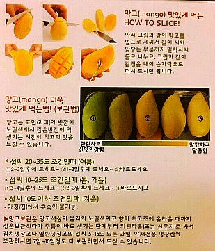 망고홀릭제주 이미지