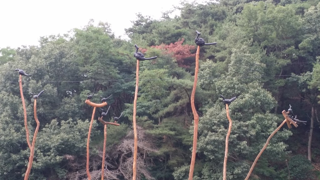 도함도예 이미지