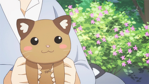 2D 고양이 | 인스티즈