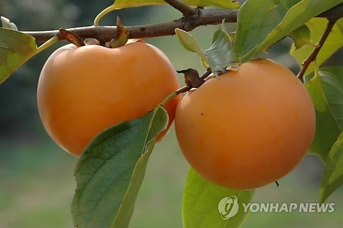 [감동글] | 인스티즈