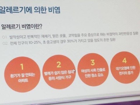 알레르기성 비염의 원인.jpg | 인스티즈