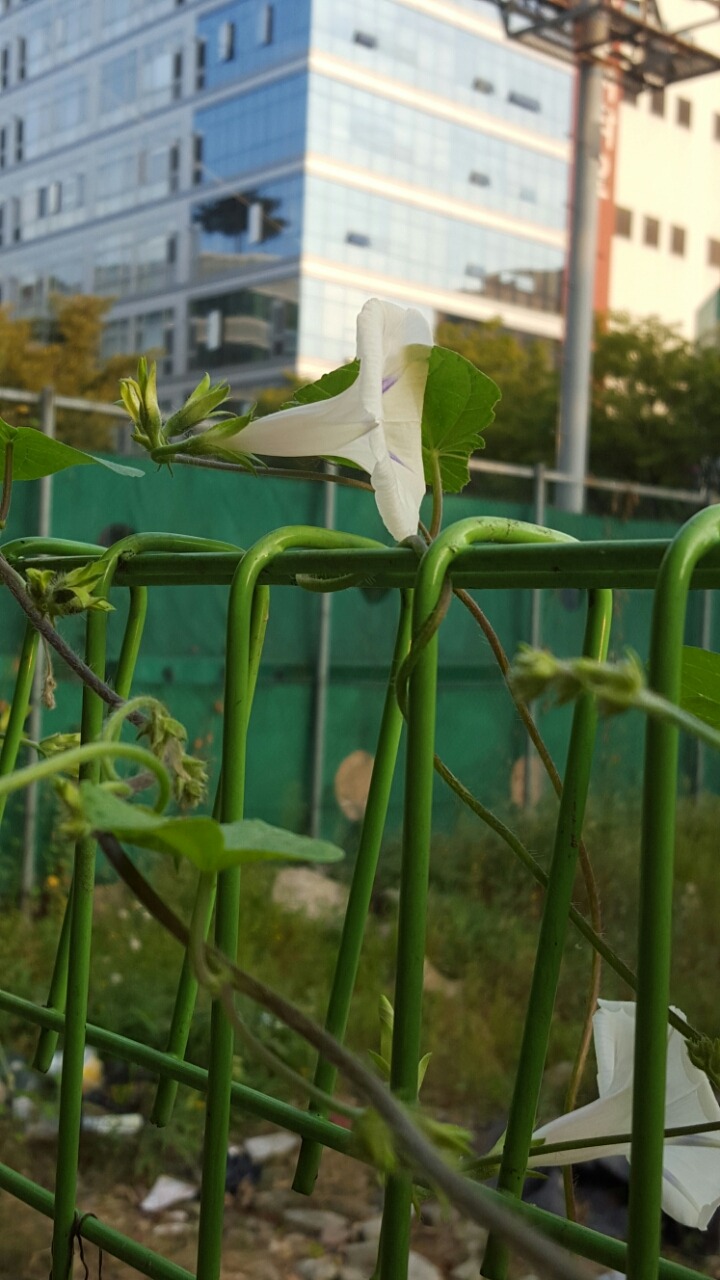 저의 스마트폰으로 찍은 풍경사진 대방출 | 인스티즈