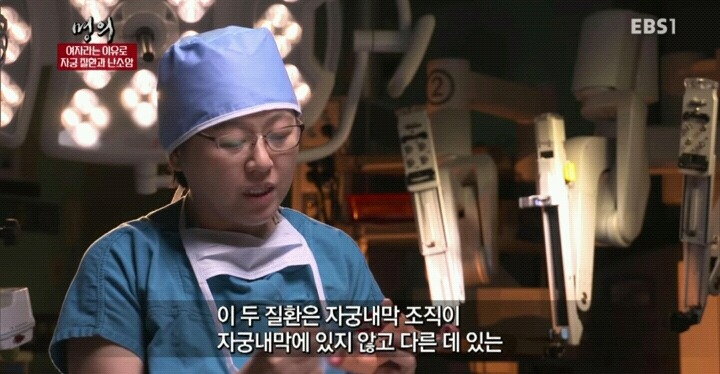 자궁내막조직이 자궁밖에 존재하는 자궁내막증.jpg | 인스티즈