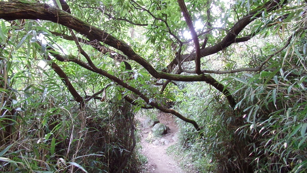5000년전 마한시대 고인돌이 있는 전주 황방산 공원 산책하기 (안구정화) | 인스티즈