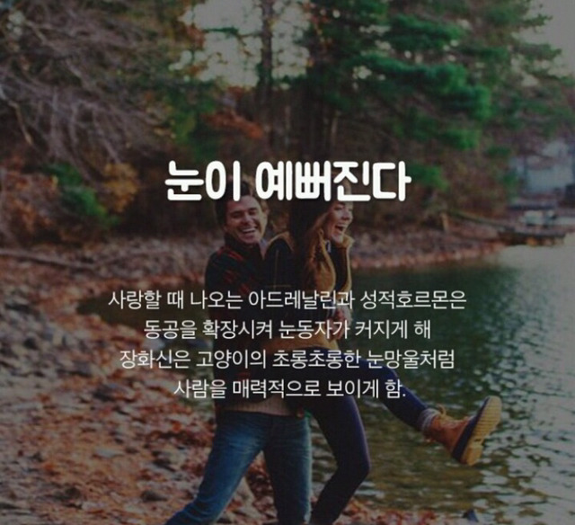당장 연애를 시작해야 하는 이유 | 인스티즈