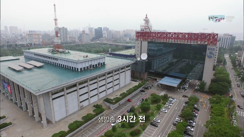 재밌는 드라마 스페셜 or 페스티벌 추천 라이브 쇼크1 좀비주의 | 인스티즈