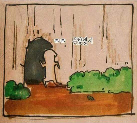 쫒기던 개 | 인스티즈