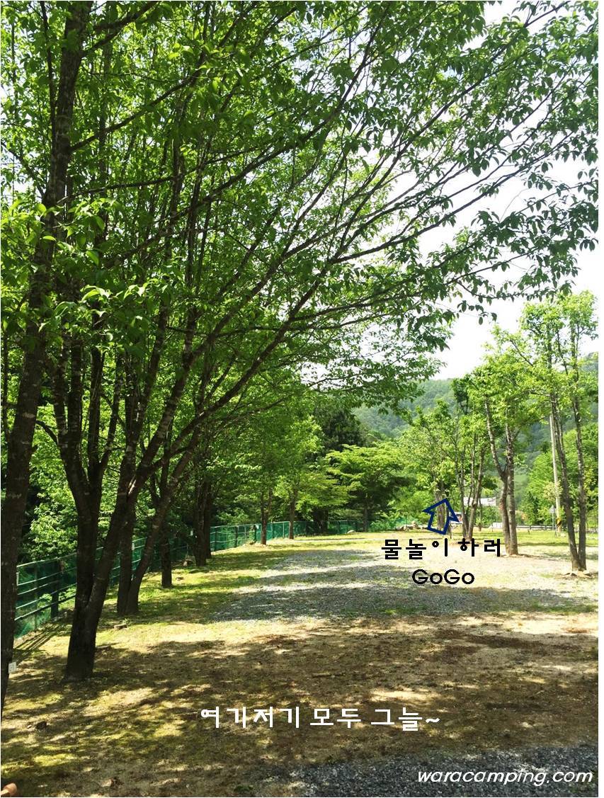 와라캠핑장 이미지